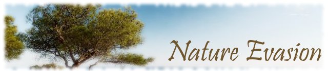 Nature Evasion