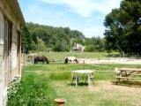 Chevaux